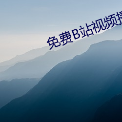 免费B站视频(pín)播放量