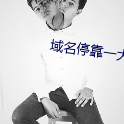 域名停靠一大象