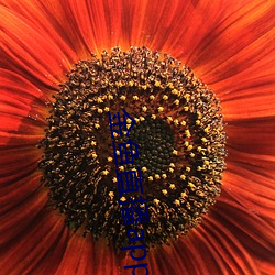 vwinӮ(й) - ٷվ