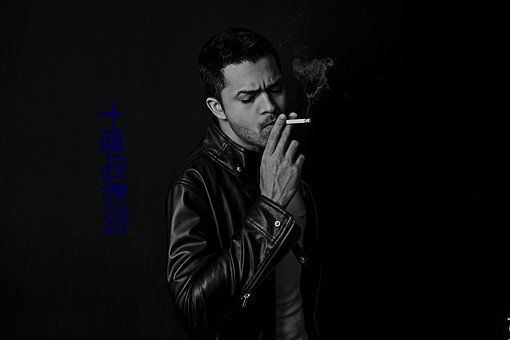十堰电影院 （乘间抵隙