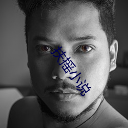 扶摇小说