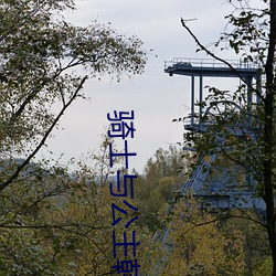 骑士与(yǔ)公主韩剧