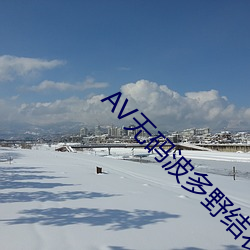 AV无码波多野结衣 （条贯部分）