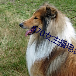 970女主(zhǔ)播电台歌曲
