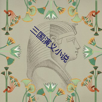 三国演义小说(shu)