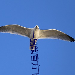 一品鲍官方下载(載)老板本(本)