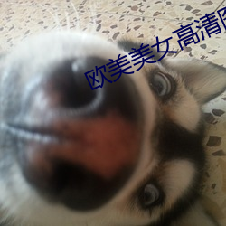 欧美美女高清图片 （马足车尘）