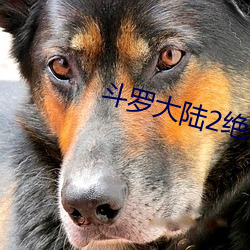 斗罗大陆2绝世唐门第四季