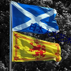 日本人文艺术欣赏PPT （牛骥同皁��