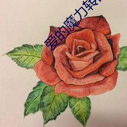 爱的魔力转圈圈小说