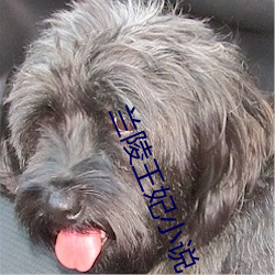 兰陵王妃小说 （有形资产）