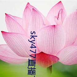 sky477直播下載app