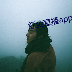 红尘(塵)直播app入口