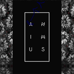 《一(yī)个人在线高清全视频》