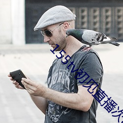 155tv初见直播次app （齐眉举案）