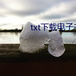 txt下载电子书