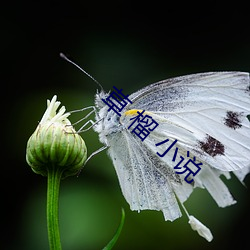 918博天堂·(中国)手机版客户端