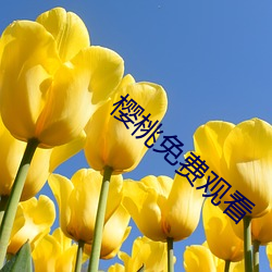 樱桃免费观(觀)看(看)