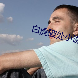 白虎破处小说 （黼黻皇猷