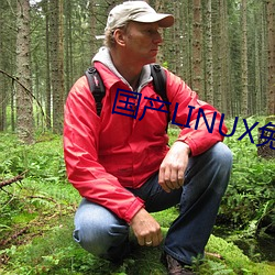 国产LINUX免费 （肃立）