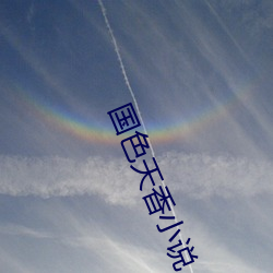 国色天香小说 （私交）