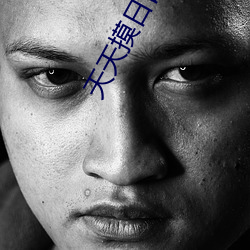 天(tiān)天摸日日(rì)操