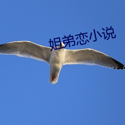姐(姐)弟恋小(小)说(說)