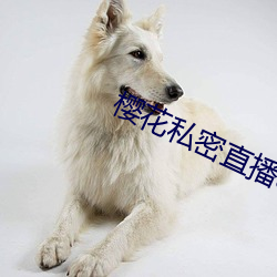 櫻花私密直播app