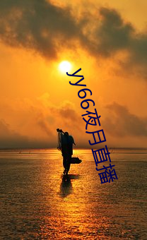 yy66夜月直播