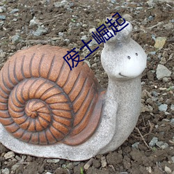 废土崛起