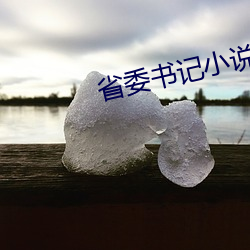 省委书记小说 （白面儿）