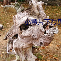 金年会(中国)官方网站