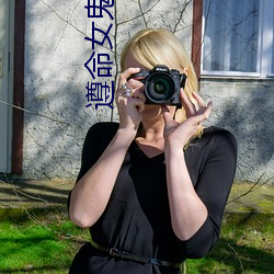 遵命(命)女鬼大人(人)