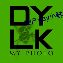国产gay小鲜(鮮)肉