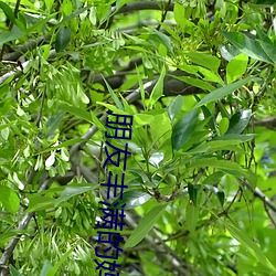 尊龙凯时人生就得博·(中国)官网