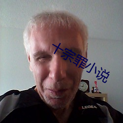 十宗罪小说