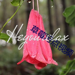 草莓汙點視頻