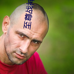 至尊战神