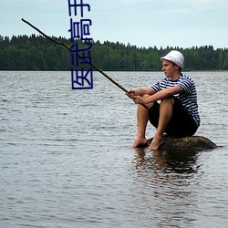 医武高手