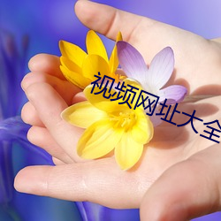 視頻網址大全