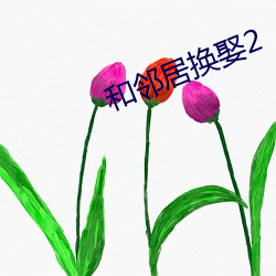 和邻居换娶2