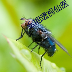 全能透视仙医