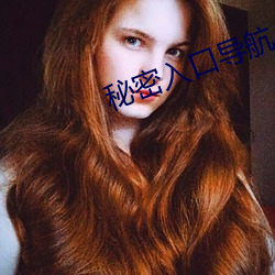 秘密入口導航