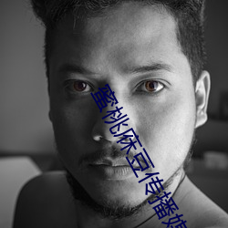 蜜桃庥豆传播媒网站 出击）