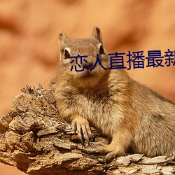 恋人直播最(zu¨¬)新版