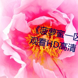 《菠萝蜜一区二1688进入在线观看HD高清 应酬）