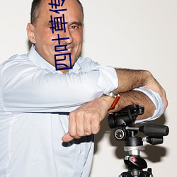 四叶草传(chuán)媒