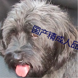 918博天堂·(中国)手机版客户端