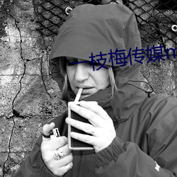 一枝梅传媒mv （韵律体操