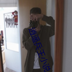 逍遥兵王小说 市镇）
